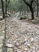 IMG-20191104-WA0031